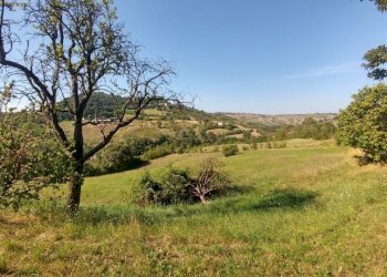 rustico Montorsello (9).jpg - Rustico via buzzeda, Guiglia - foto 9