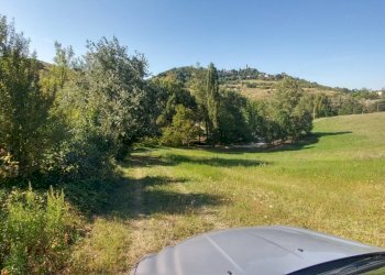 rustico Montorsello (19).jpg - Rustico via buzzeda, Guiglia - foto 19