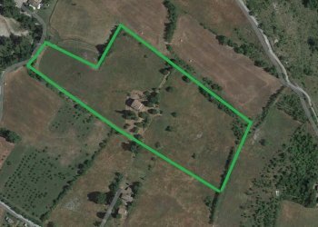 alto.jpg - Rustico via buzzeda, Guiglia - foto 21