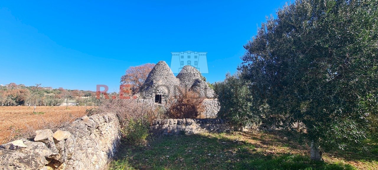 20240216_112257.jpg - Baita Contrada Montemichele 14, Ostuni - photo 3
