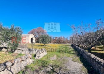 20240216_111357.jpg - Baita Contrada Montemichele 14, Ostuni - foto 7