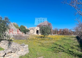 20240216_111408.jpg - Baita Contrada Montemichele 14, Ostuni - foto 8