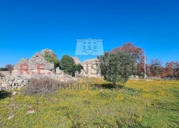 20240216_111416.jpg - Baita Contrada Montemichele 14, Ostuni - foto 9