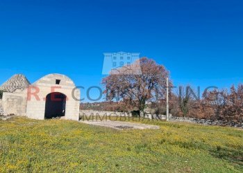 20240216_111442.jpg - Baita Contrada Montemichele 14, Ostuni - foto 10