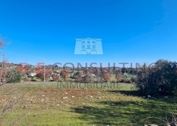 20240216_111532.jpg - Baita Contrada Montemichele 14, Ostuni - foto 12