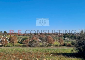 20240216_111539.jpg - Baita Contrada Montemichele 14, Ostuni - foto 13