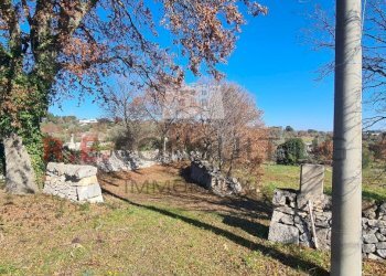 20240216_111636.jpg - Baita Contrada Montemichele 14, Ostuni - foto 15