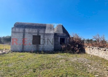 20240216_111645.jpg - Baita Contrada Montemichele 14, Ostuni - foto 2