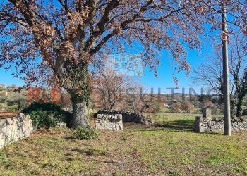 20240216_111657.jpg - Baita Contrada Montemichele 14, Ostuni - foto 16