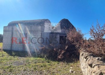 20240216_111718.jpg - Baita Contrada Montemichele 14, Ostuni - foto 18