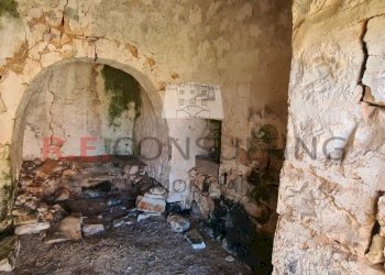 20240216_112031.jpg - Baita Contrada Montemichele 14, Ostuni - foto 28