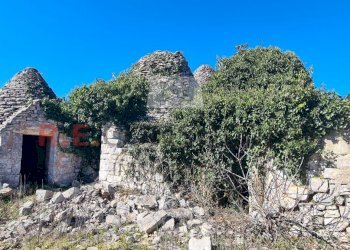 20240216_112109.jpg - Baita Contrada Montemichele 14, Ostuni - foto 30