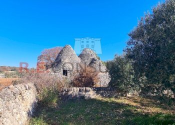 20240216_112257.jpg - Baita Contrada Montemichele 14, Ostuni - foto 3