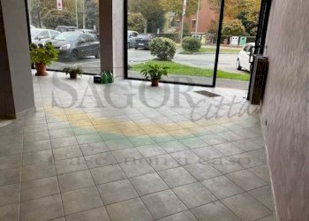 Negozio Pinerolo - foto 1