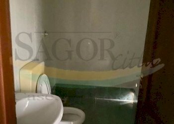 Negozio Pinerolo - foto 3