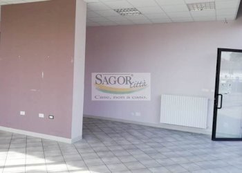 Negozio Pinerolo - foto 6