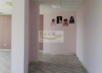 Negozio Pinerolo - foto 9