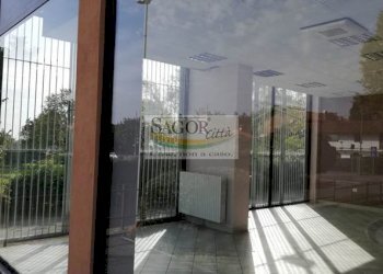 Negozio Pinerolo - foto 13