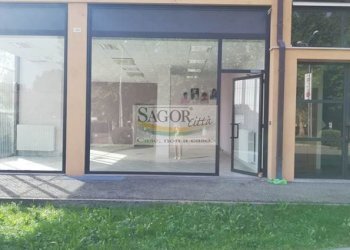 Negozio Pinerolo - foto 14