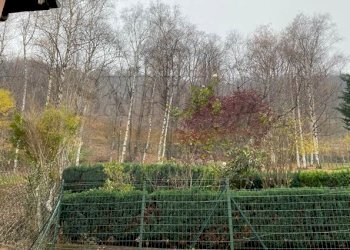 Three-room apartment Luserna San Giovanni - photo 19