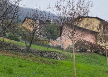 Three-room apartment Luserna San Giovanni - photo 21