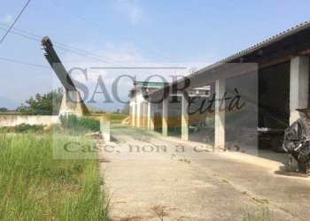 Rustico Pinerolo - foto 22