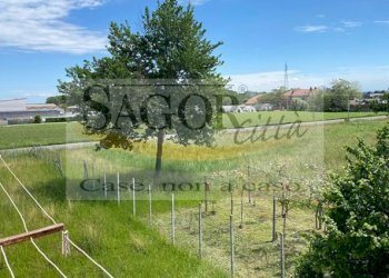 Casa indipendente Pinerolo - foto 4