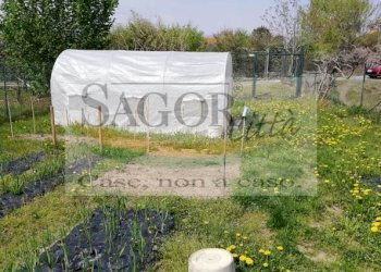 Agricultural land Pinerolo - photo 5