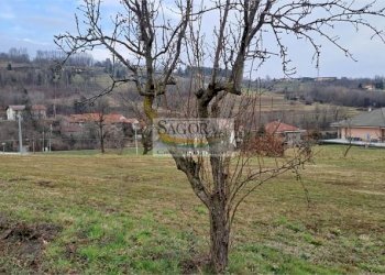 Building land San Pietro Val Lemina - photo 3