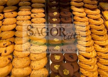 Bakery - Pastificio Pinerolo - photo 1