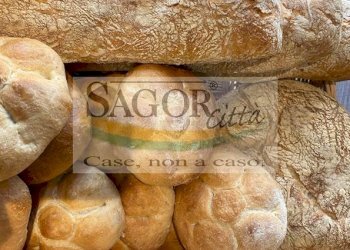 Bakery - Pastificio Pinerolo - photo 2