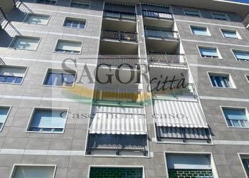 Negozio Pinerolo - foto 3