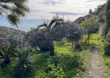 Villa Bordighera - foto 6