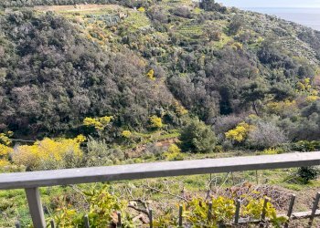 Villa Bordighera - foto 8