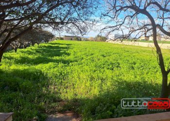 Casa indipendente CONTRADA CEO, Scicli - foto 6