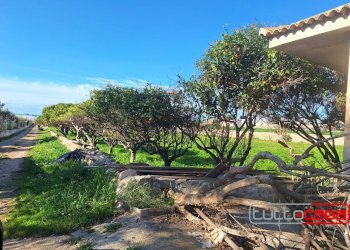 Casa indipendente CONTRADA CEO, Scicli - foto 7