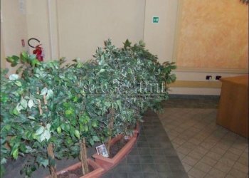interno stabile - Two-room apartment via Brione, Torino - photo 15