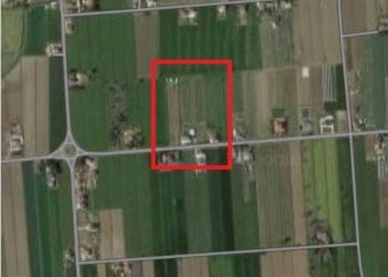 cc.png - Agricultural land Cesena - photo 1