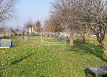 Independent house Cumiana - photo 30