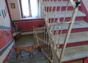 Villa Corso Massimo D'azzeglio, Fontaneto d'Agogna - foto 6