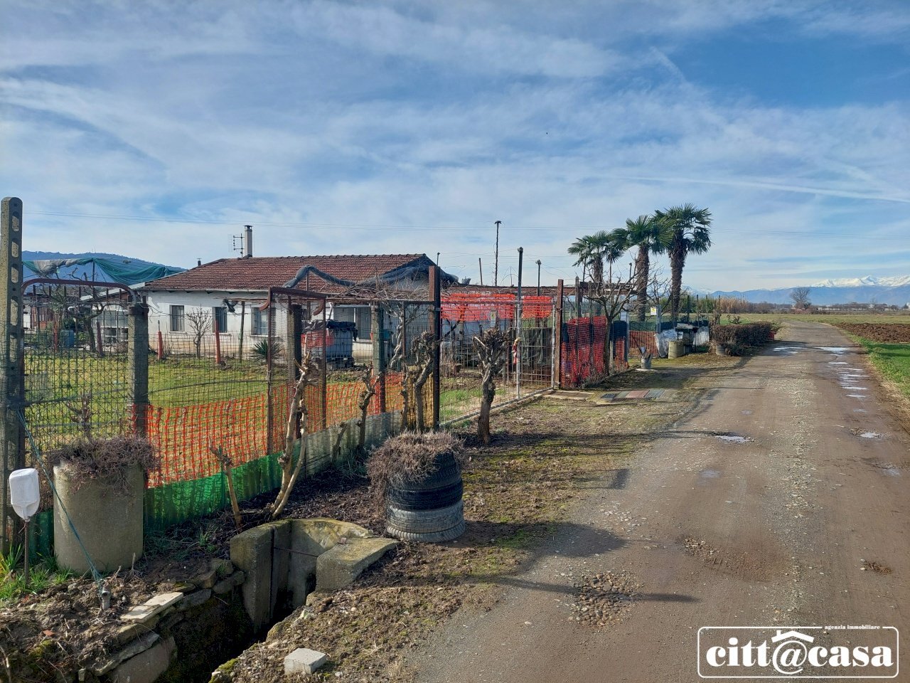 Agricultural land Chivasso - photo 3