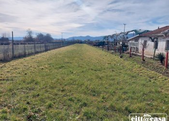 Terreno agricolo Chivasso - foto 4