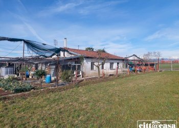 Terreno agricolo Chivasso - foto 5