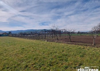 Terreno agricolo Chivasso - foto 8