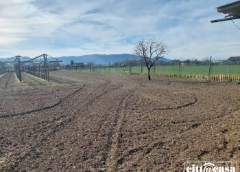 Terreno agricolo Chivasso - foto 9