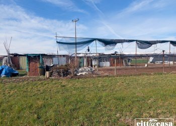 Terreno agricolo Chivasso - foto 11