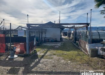 Terreno agricolo Chivasso - foto 12