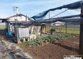 Terreno agricolo Chivasso - foto 14