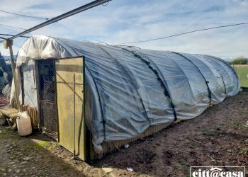 Terreno agricolo Chivasso - foto 16