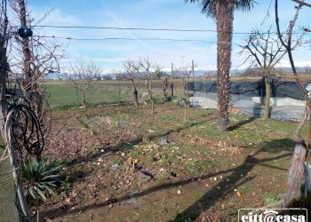 Terreno agricolo Chivasso - foto 17